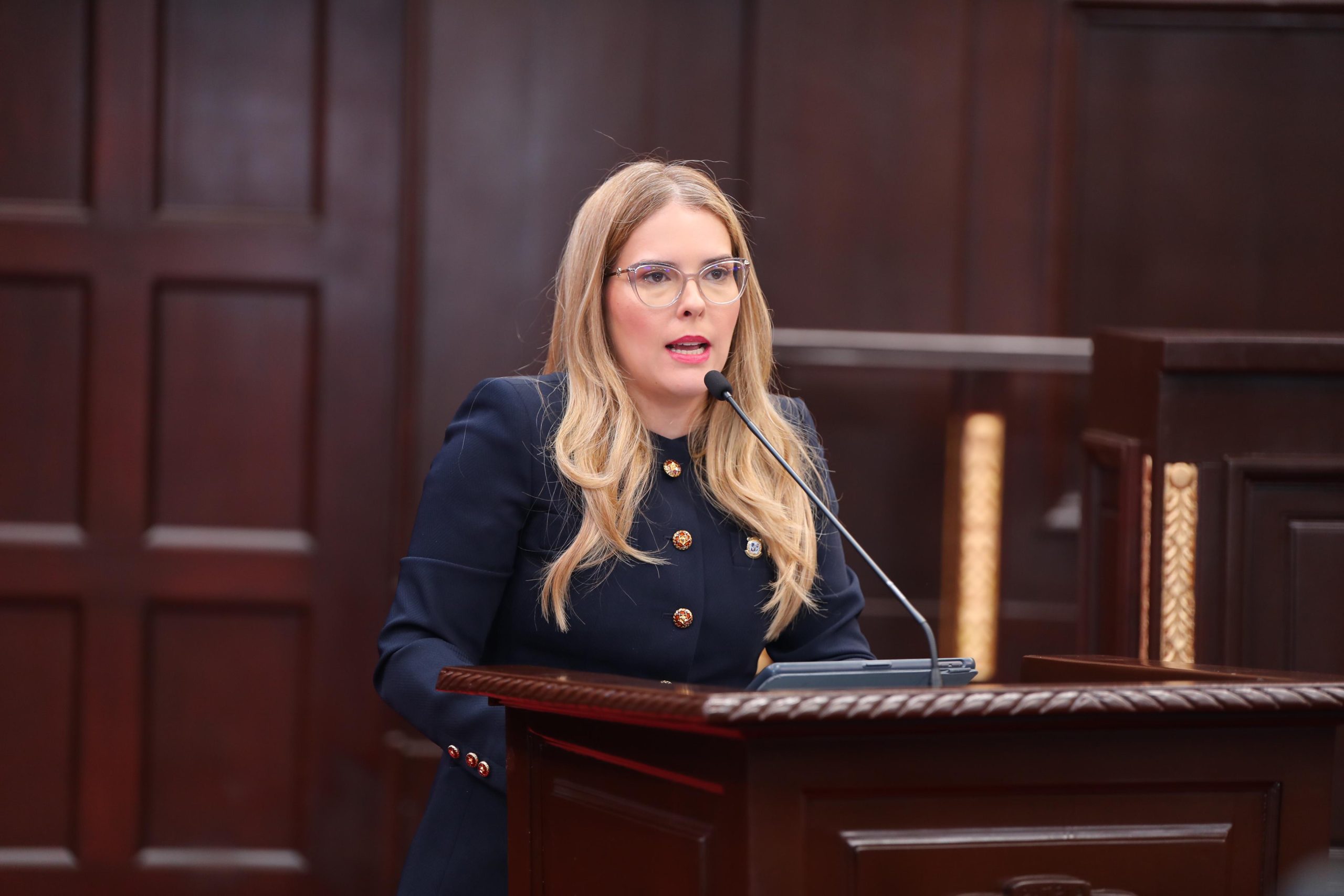 la diputada carmen ligia barcelo.jpg 1